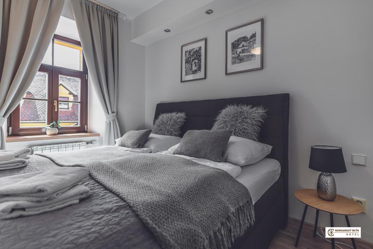 Hotel Nemojansky Mlyn Nemojany Luaran gambar